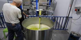 معصرة الذهب الأخضر تحصد شهادة الجودة.. كيف وصلت لهذا الإنجاز؟