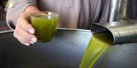 "الزيت الذهبي 2025": منافسة فلسطينية لاختيار أفضل زيت زيتون وطني بمعايير دولية