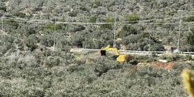 الاحتلال يواصل تجريف واقتلاع أشجار زيتون معمرة في سلفيت