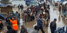 غزة.. المنخفض الجوي يفاقم معاناة المواطنين ويتسبب في غرق خيامهم