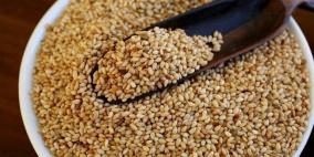 جامعة القدس المفتوحة تفوز بتمويل دولي لتحسين الصفات الوراثية للسمسم