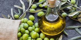 خاص| الذهب الأخضر في مواجهة التغيرات المناخية… نصائح علمية لحماية زيت الزيتون وجودته