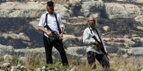 مستوطنون يسرقون حصانا غرب نابلس