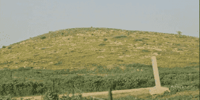 مستوطنون يسيّجون 1500 دونم في الأغوار الشمالية بعد اجبار 6 عائلات على الرحيل