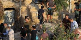 مستوطنون يقتحمون مسكناً في خربة الحلاوة ويخربون ألواح طاقة شمسية وأسواراً بمسافر يطا