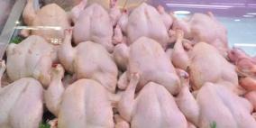 خاص | غلاء أسعار الدواجن في رمضان.. أزمة إنتاج أم فوضى تسعير؟