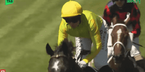 نتائج كأس دبي العالمي 2026: "أمبودسمان" يهدي جودلفين لقب "دبي تيرف" بـ 2.9 مليون دولار (بالفيديو)