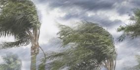 الإعصار هوزيه يكتسب قوة.. ونيويورك مهددة