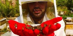 الشهد في غزة