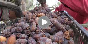 نفط مدينة القمر