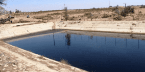 تحقيق.. عصارة النفايات في موائد الغزيين