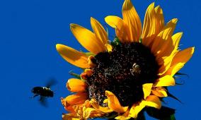 الطقس: ارتفاع على درجات الحرارة