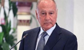 أبو الغيط: حل الدولتين هو العادل والوحيد للقضية الفلسطينية