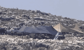 مستوطنون ينصبون خيمة قرب منزل في جبل جوهر شرق الخليل ويعتدون على أصحابه