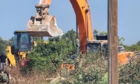 مستوطنون يقتلعون 500 شجرة ويعتدون على الممتلكات في يطا جنوب الخليل