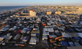 صحيفة: خطة أممية شاملة لمكافحة القوارض والحشرات في غزة قريباً