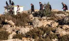 الضفة تشهد أعلى معدل لاعتداءات المستوطنين.. خبير لراية: الأمر لم يعد عشوائيًا