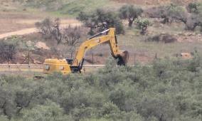 الاحتلال يقتلع نحو 400 شجرة زيتون ويجرف 35 دونمًا من أراضي بدرس غرب رام الله