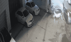 بالفيديو: مستوطن يدعس شابا شرق نابلس 