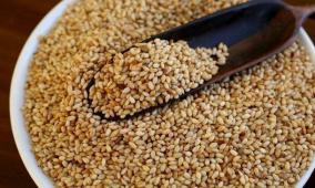 جامعة القدس المفتوحة تفوز بتمويل دولي لتحسين الصفات الوراثية للسمسم