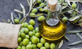 خاص| الذهب الأخضر في مواجهة التغيرات المناخية… نصائح علمية لحماية زيت الزيتون وجودته