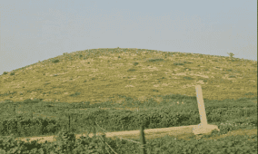 مستوطنون يشرعون بتسييج أراضٍ في الأغوار الشمالية