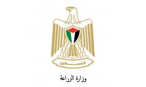 الزراعة تؤكد رفضها القاطع للادعاءات الإسرائيلية بشأن تلوث الخضروات الفلسطينية المصدّرة ببقايا مبيدات