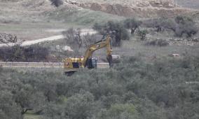 الاحتلال يقتلع المئات من أشجار الزيتون في "واد الحمص" شمال شرق بيت لحم