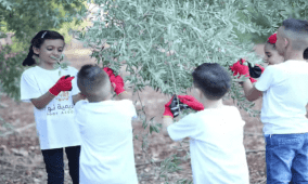 خاص| أكاديمية "نور".. مبادرة لتعليم الزراعة للأطفال وتعزيز ارتباطهم بالأرض