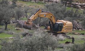 رام الله: الاحتلال يقتلع مئات أشجار الزيتون في دير قديس وخربثا بني حارث