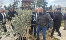 "الزراعة": توزيع 565 شجرة زيتون لصالح 14 مزارعاً من صوريف وبيت أمر وبني نعيم