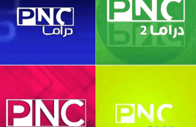 تردد قنوات PNC الجديد 2026 على نايل سات: PNC فيلم، PNC دراما، PNC فوود وبرامج الطبخ