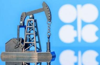 الإمارات تعلن انسحابها من منظمة أوبك وتحالف أوبك بلس