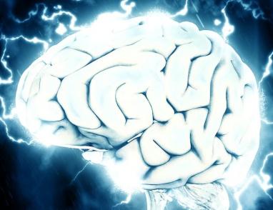 خلايا مناعية في الدماغ يمكن أن تساعد في إبطاء الزهايمر