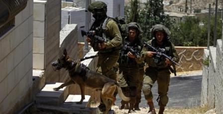 الاحتلال ينفذ حملة مداهمات ويفرض غرامات مالية باهظة على محال تجارية في سلوان