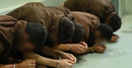 نادي الأسير يرحب بتقرير المقررة الأممية "فرانشيسكا ألبانيز" حول التعذيب في الأراضي الفلسطينية المحتلة