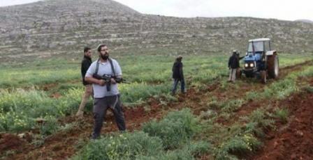 مستوطنون يتلفون 8 دونمات من حقول القمح والشعير في مسافر يطا