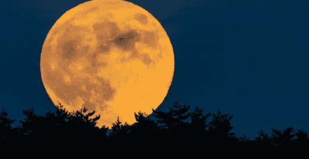 السماء تستقبل مساء الخميس "القمر البارد".. آخر قمر عملاق لـ2025