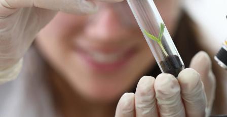 الحد من المخاطر نهج علمي وعملي: خارطة الطريق لمكافحة التدخين