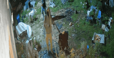 مستوطنون يصيبون مسنة وأولادها ويسرقون 30 رأسا من الأغنام شرق الخليل