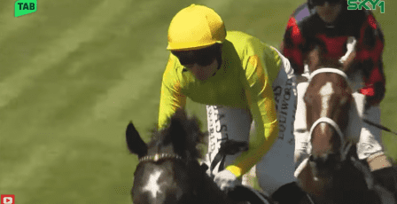 نتائج كأس دبي العالمي 2026: "أمبودسمان" يهدي جودلفين لقب "دبي تيرف" بـ 2.9 مليون دولار (بالفيديو)