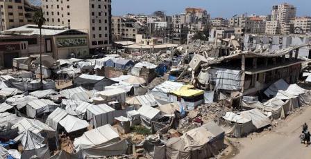 الشوا لراية: 90% من سكان غزة غير قادرين على شراء احتياجاتهم الأساسية