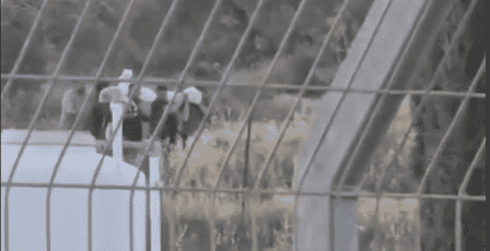 الأمم المتحدة: نبش إسرائيل أحد القبور في جنين مروع ويجسد نزع الإنسانية عن الفلسطينيين