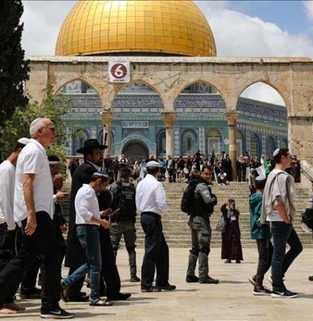 محافظة القدس: 9820 مستوطنا اقتحموا المسجد الأقصى خلال موسم الأعياد اليهودية الأخيرة
