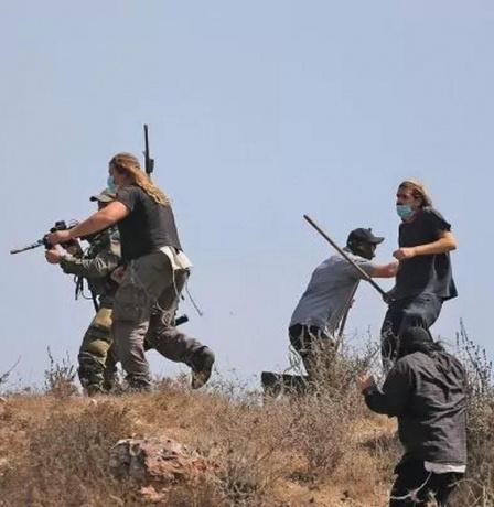 الأمم المتحدة: هجمات المستوطنين في الضفة تعادل 5 هجمات يوميا