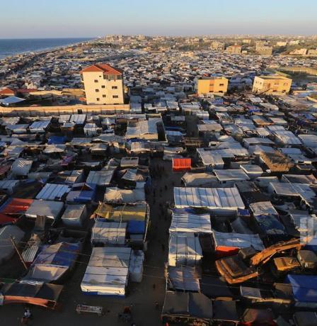 صحيفة: خطة أممية شاملة لمكافحة القوارض والحشرات في غزة قريباً