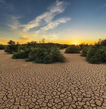 فلسطين تحدّث خطتها الوطنية لمواجهة التغير المناخي حتى عام 2040