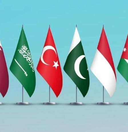 وزراء خارجية 8 دول يصدرون بيانًا حازمًا حول أوضاع غزة