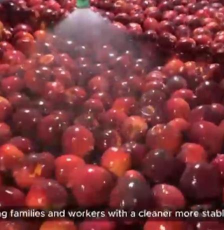 تركيب 16 جهاز هاضم حيوي في شركات الصناعات الغذائية بمحافظة طوباس