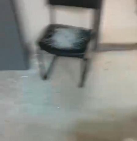 بالفيديو| هجوم جديد للمستوطنين على محطة "عين سامية" للمياه شمال شرق رام الله